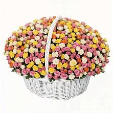 Премиум букет из: Розы в Заволжске